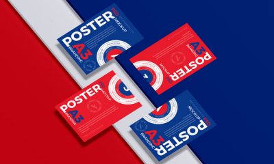 Free-A3-Premium-Poster-Mockup-PSD-300