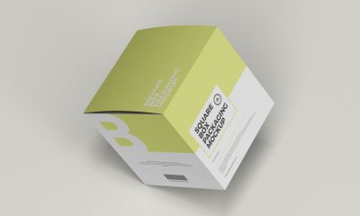 Free-Modern-Square-Box-Packaging-Mockup-300